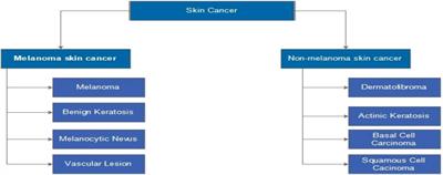 A novel framework of multiclass skin lesion recognition from dermoscopic images using deep learning and explainable AI